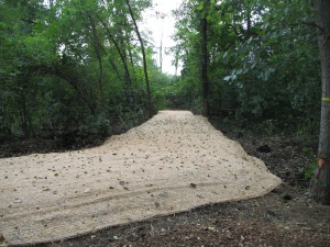 Berm extension and Peninsula trail seeded with oats